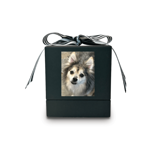 Black and White Unscented Black Candle/Black Box - Your Photo Candle
